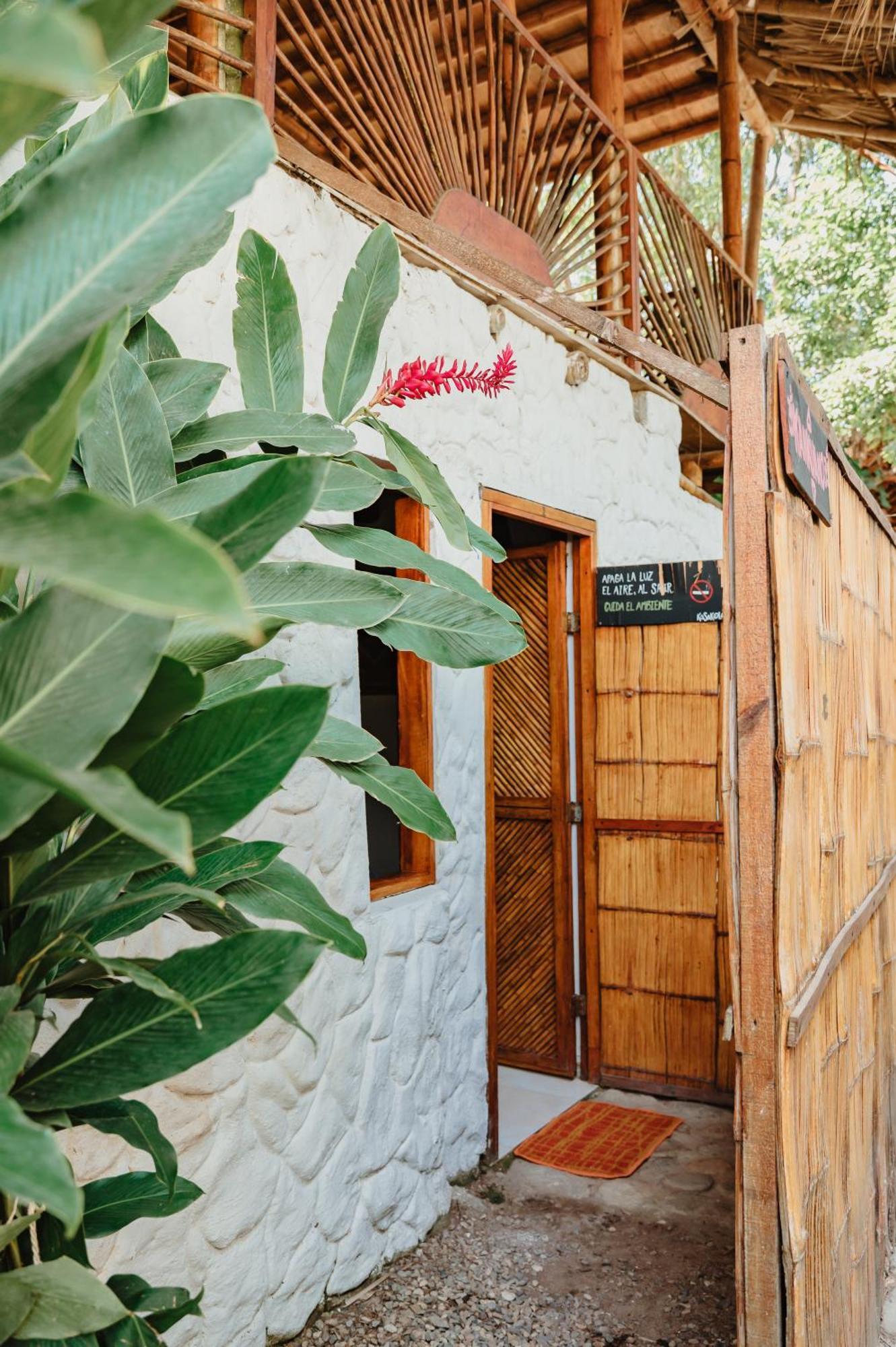 Kasakola Hotel Palomino Exterior photo
